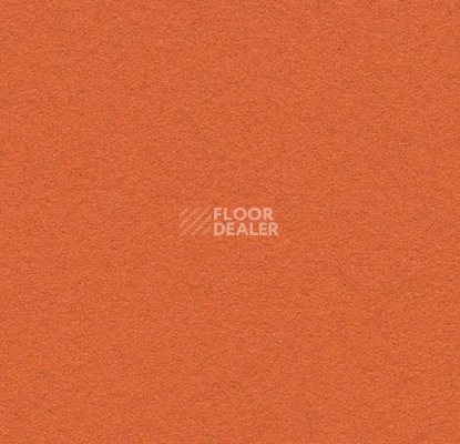 Линолеум Forbo Marmoleum Bulletin Board 2211 tangerine zest фото 1 | FLOORDEALER